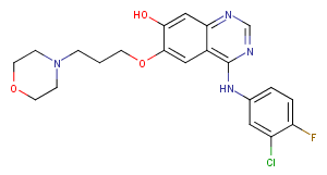 O-Desmethyl Gefitinib图片
