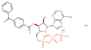 BzATP triethylammonium salt图片