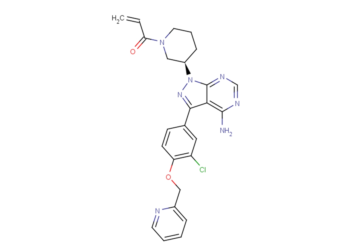 CHMFL-EGFR-202图片