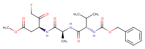 Z-VAD(OMe)-FMK图片
