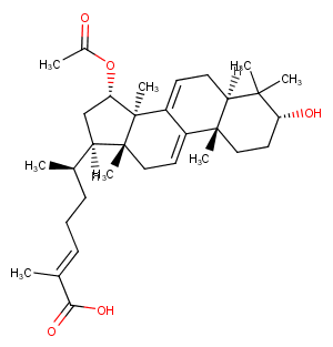 Ganoderic acid X图片