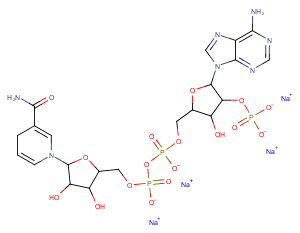 NADPH tetrasodium salt图片