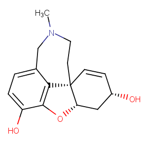 O-Desmethyl Galanthamine图片