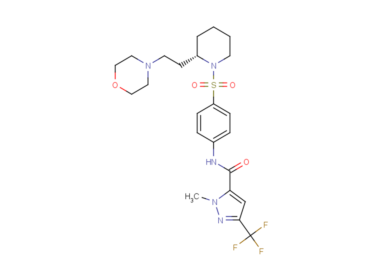 ERDRP-0519图片
