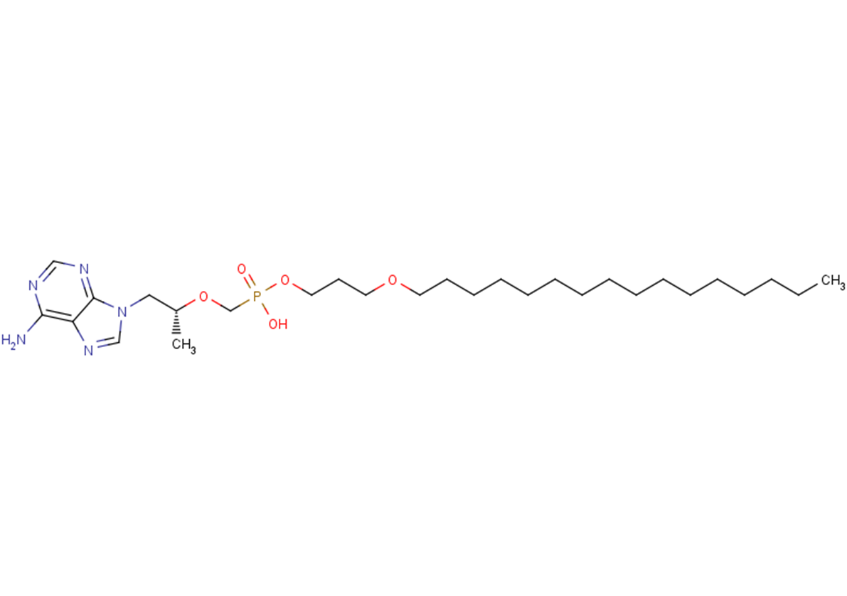 Tenofovir exalidex图片