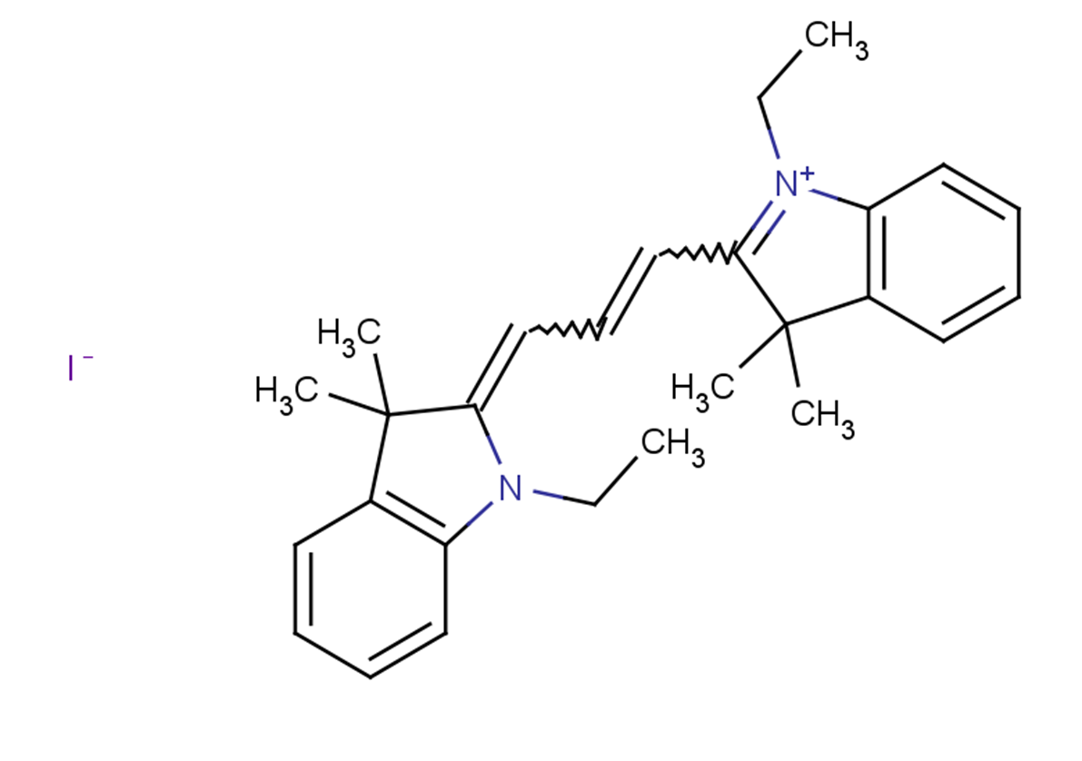 Astrophloxine图片