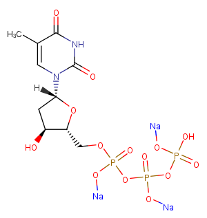 Deoxythymidine-5'-triphosphate trisodium图片