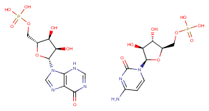 Polyinosinic-polycytidylic acid图片