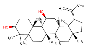 11beta-Hydroxylupeol图片