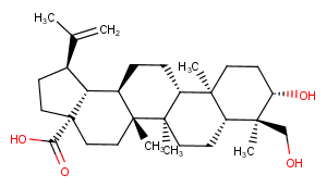 23-Hydroxybetulinic acid图片