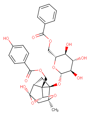 Benzoyloxypaeoniflorin图片