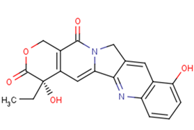 9-Hydroxycamptothecin图片