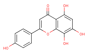 8-Hydroxyapigenin图片