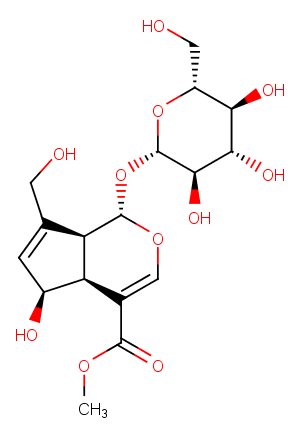 Methyl deacetylasperulosidate图片