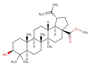 Betulinic Acid methyl ester图片