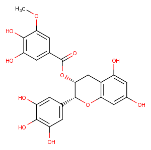 (-)-Epigallocatechin-3-(3''-O-methyl)gallate图片