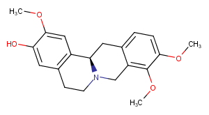 (R)-(+)-Corypalmine图片