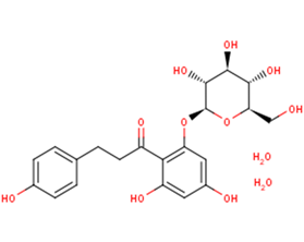 Phlorizin dihydrate图片