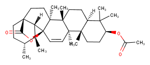 3-Acetoxy-11-ursen-28,13-olide图片