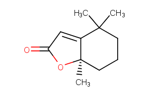 Dihydroactinidiolide图片
