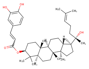 Dammarenediol II 3-O-caffeate图片