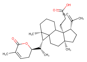 Schisanlactone E图片