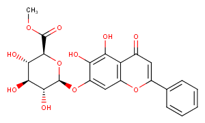 Baicalin methyl ester图片
