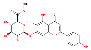 Scutellarin methyl ester图片