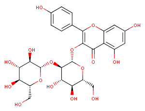Kaempferol 3-O-sophoroside图片