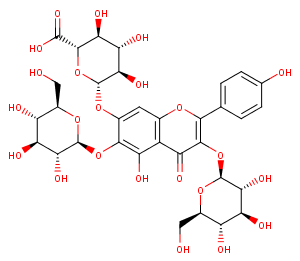 6-hydroxyl kaempherol-3,6-O-diglucosyl-7-O-Glucuronic acid图片