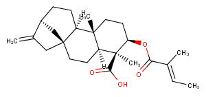 ent-3Beta-Tigloyloxykaur-16-en-19-oic acid图片