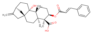 3alpha-Cinnamoyloxypterokaurene L3图片
