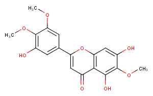 5,7,3'-Trihydroxy-6,4',5'-trimethoxyflavone图片