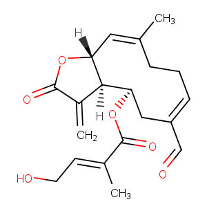 Eupahualin C图片