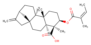 ent-3Beta-Angeloyloxykaur-16-en-19-oic acid图片