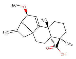 12alpha-Methoxygrandiflorenic acid图片