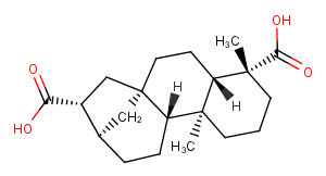 ent-Kauran-17,19-dioic acid图片