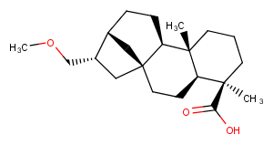 Siegesmethyletheric acid图片