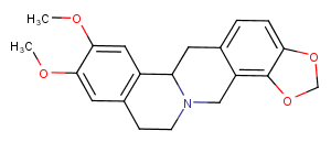 Tetrahydroepiberberine图片