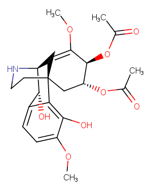 Fenfangjine G图片