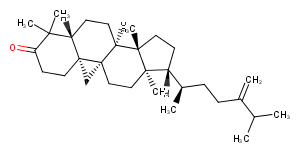 24-Methylenecycloartanone图片