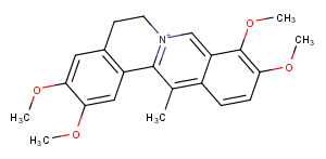 Dehydrocorydaline图片