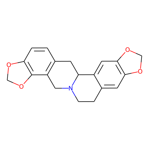 Tetrahydrocoptisine图片