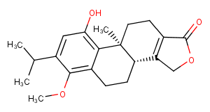 Neotriptophenolide图片
