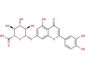 Luteolin 7-O-glucuronide图片