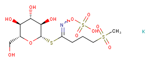 Glucocheirolin图片
