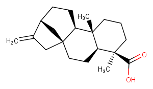 Kaurenoic acid图片