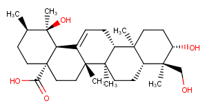 Rotundic acid图片