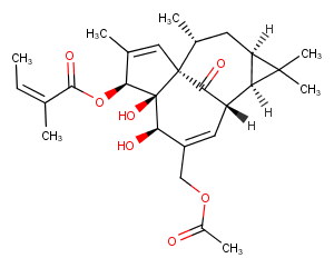 20-O-Acetylingenol-3-angelate图片
