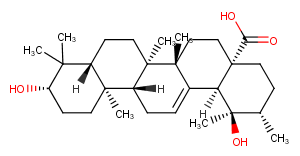 Ilexgenin B图片